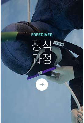 정식과정