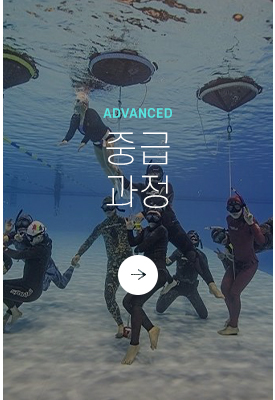 중급과정