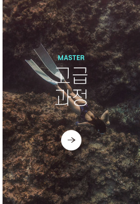 고급과정